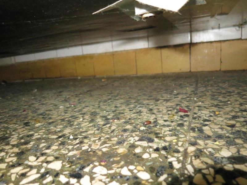 Ilustrační fotografie č. 6