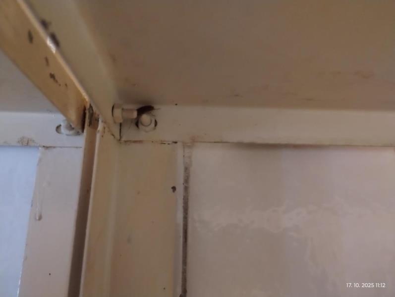 Ilustrační fotografie č. 14