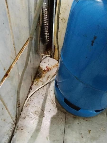 Illustrative photo no. 25