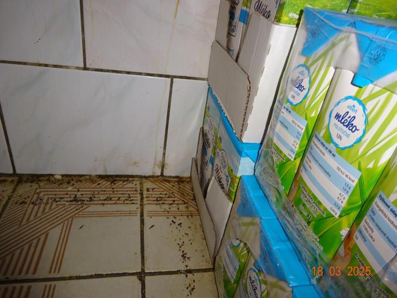 Ilustrační fotografie č. 5