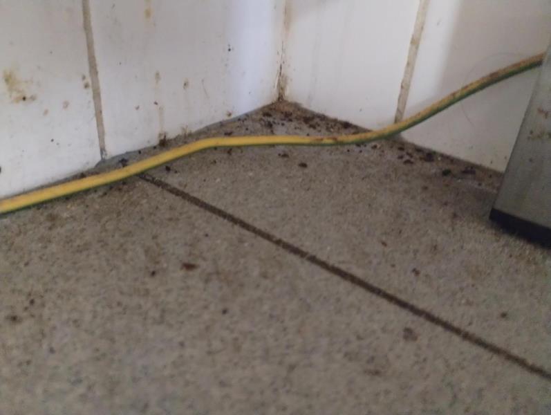 Ilustrační fotografie č. 5