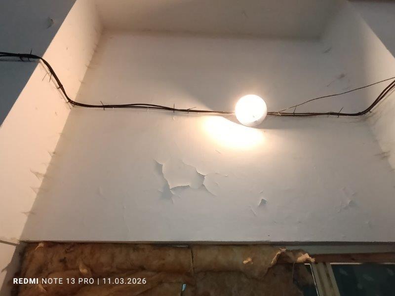 Illustrative photo no. 16