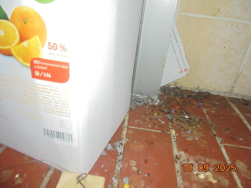 Ilustrační fotografie č. 4