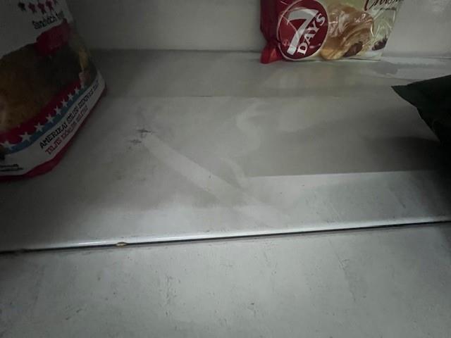 Illustrative photo no. 4