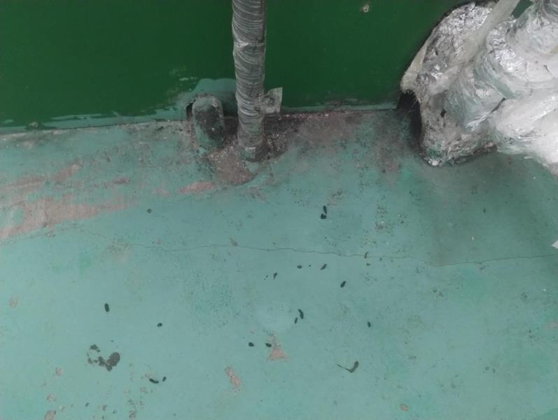 Ilustrační fotografie č. 4