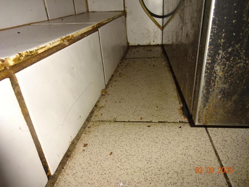 Illustrative photo no. 6