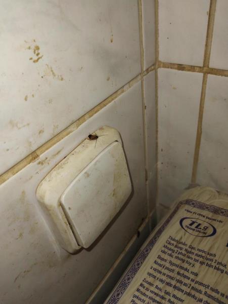 Ilustrační fotografie č. 8