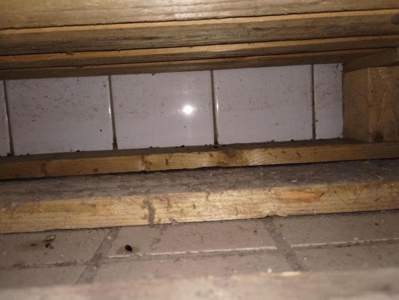 Ilustrační fotografie č. 2