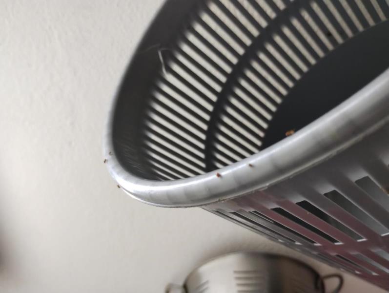 Illustrative photo no. 3