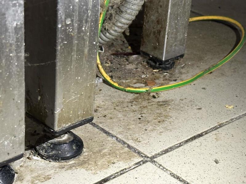 Ilustrační fotografie č. 13