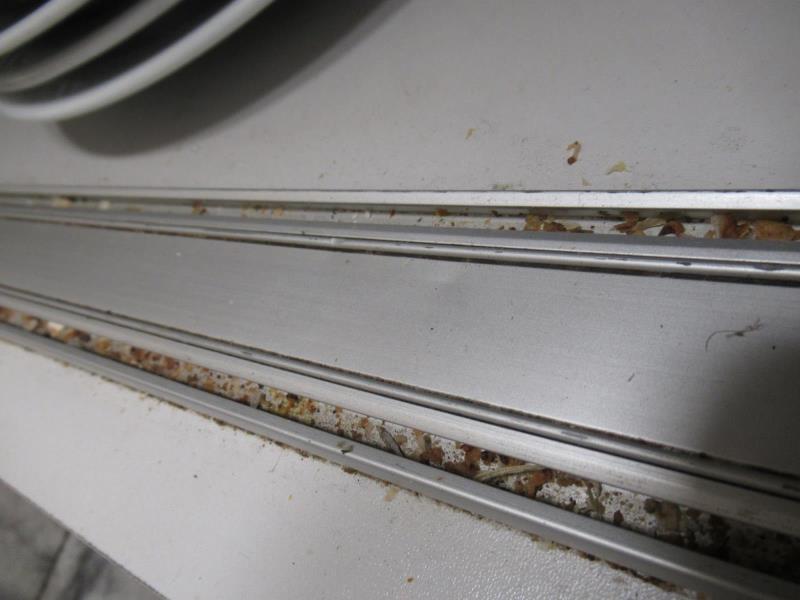 Ilustrační fotografie č. 20