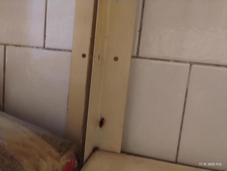 Ilustrační fotografie č. 16