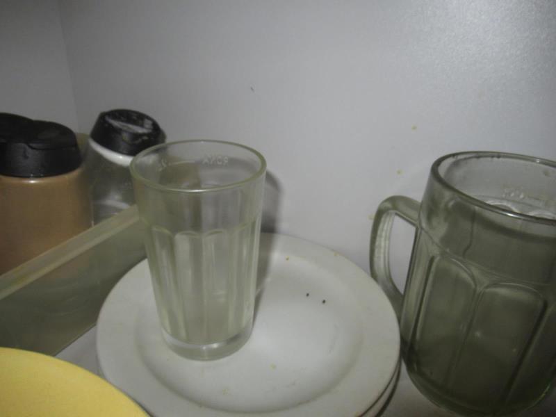 Ilustrační fotografie č. 13