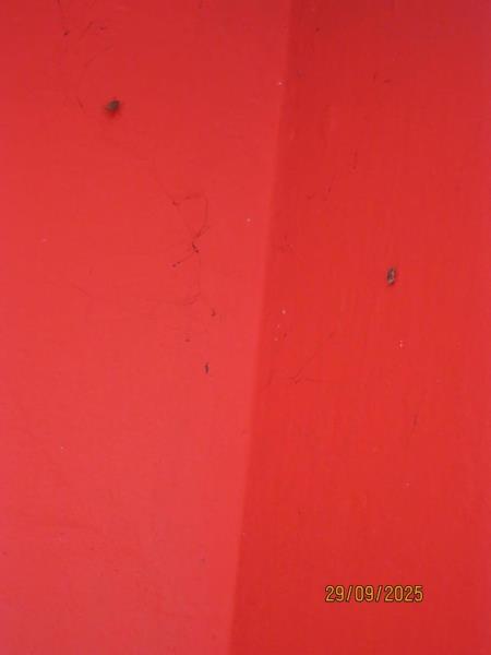 Illustrative photo no. 6