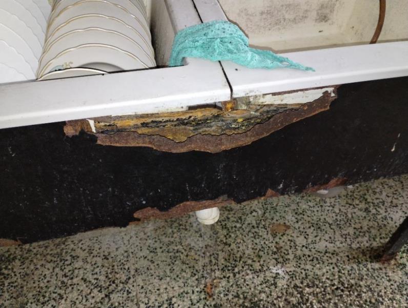 Illustrative photo no. 11