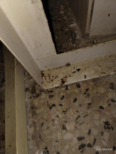 Ilustrační fotografie č. 19