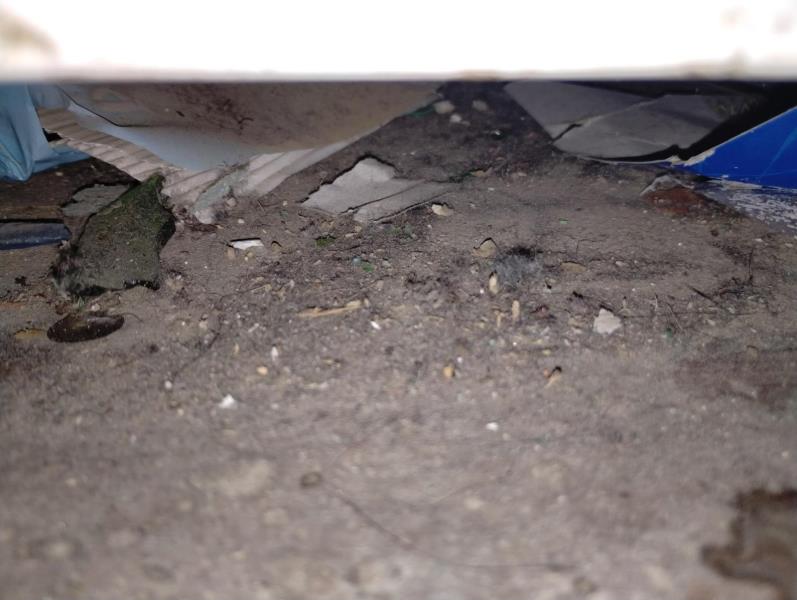 Ilustrační fotografie č. 6