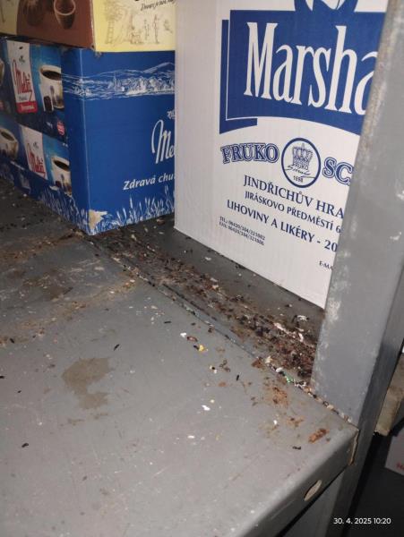 Ilustrační fotografie č. 8