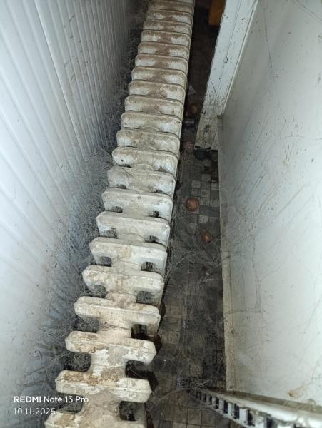 Illustrative photo no. 16