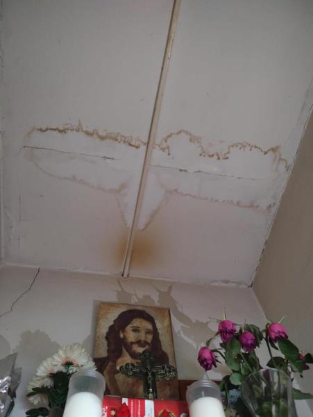 Illustrative photo no. 8