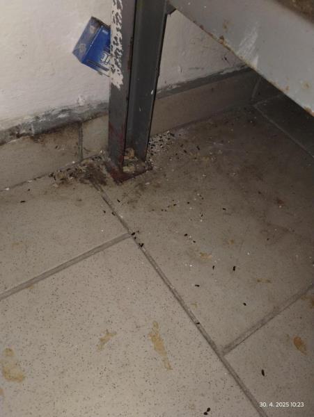 Ilustrační fotografie č. 4