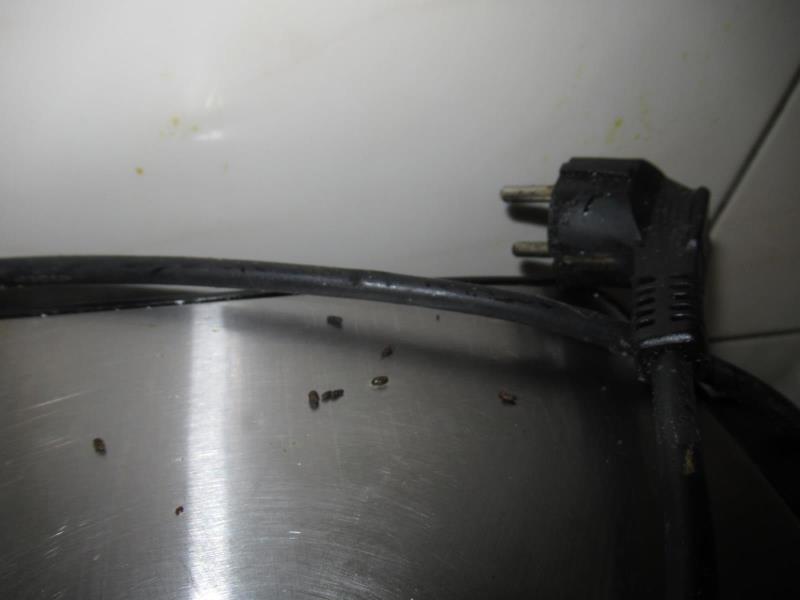 Ilustrační fotografie č. 8