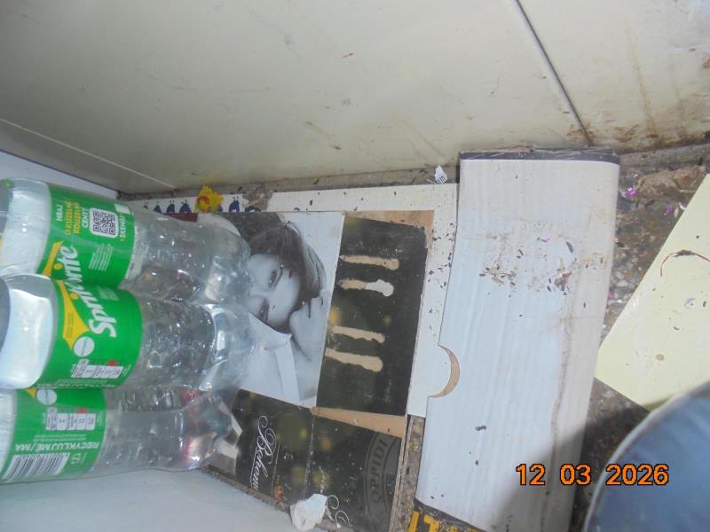 Illustrative photo no. 13