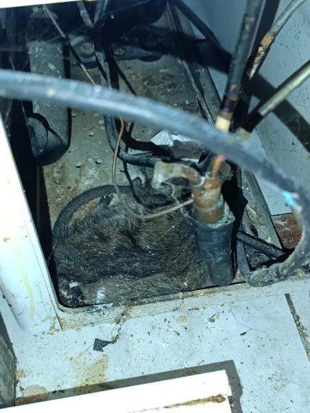 Illustrative photo no. 9