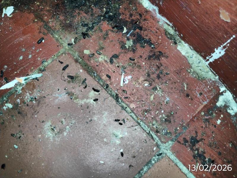 Ilustrační fotografie č. 12