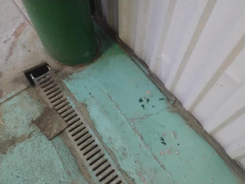 Ilustrační fotografie č. 6