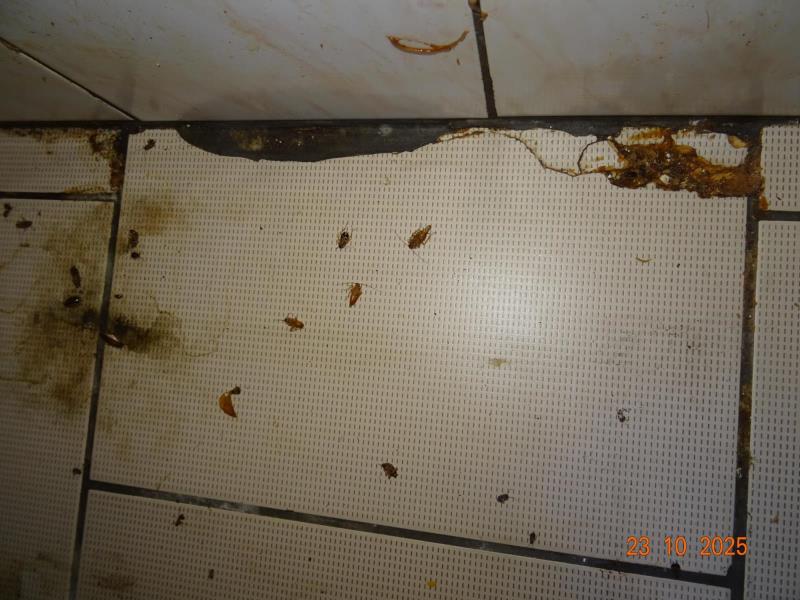 Ilustrační fotografie č. 4