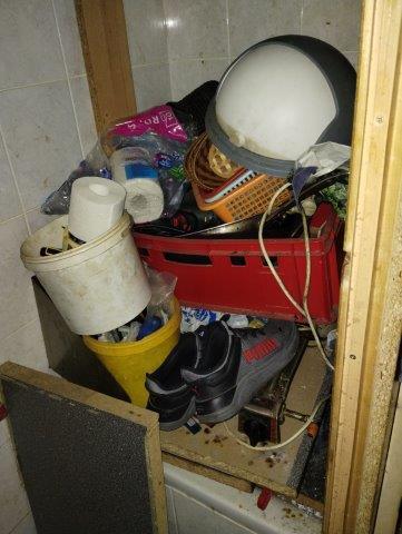 Ilustrační fotografie č. 7