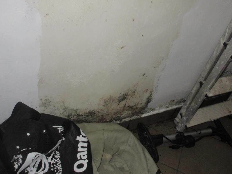 Ilustrační fotografie č. 6