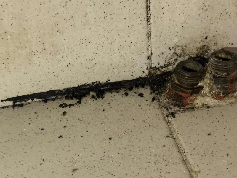 Ilustrační fotografie č. 15