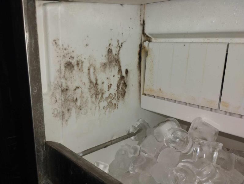 Ilustrační fotografie č. 12