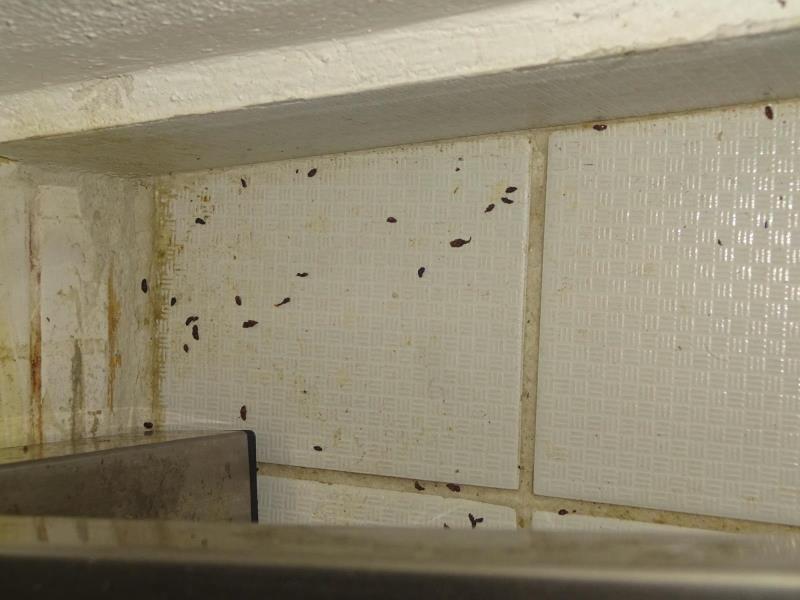 Ilustrační fotografie č. 8