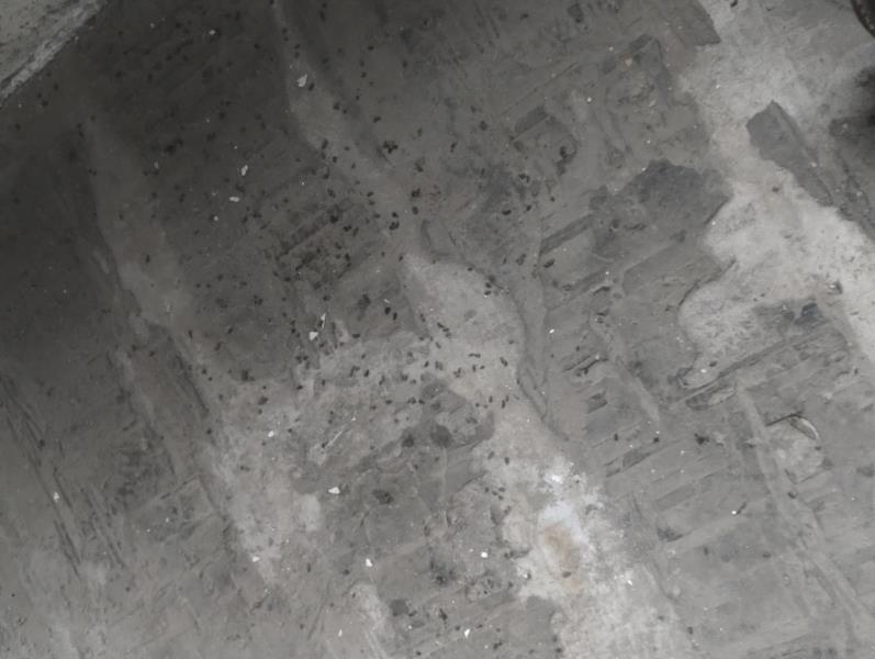 Ilustrační fotografie č. 2