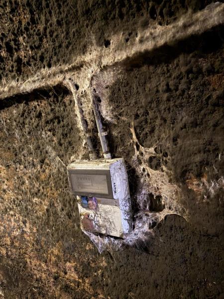 Ilustrační fotografie č. 25