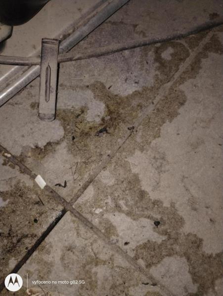 Ilustrační fotografie č. 6