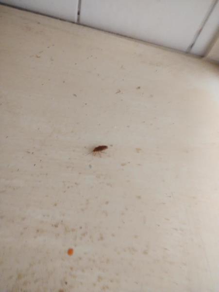 Ilustrační fotografie č. 11