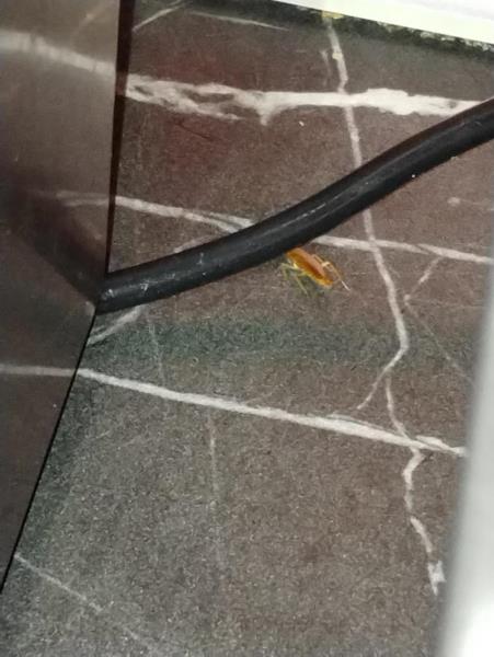 Illustrative photo no. 3