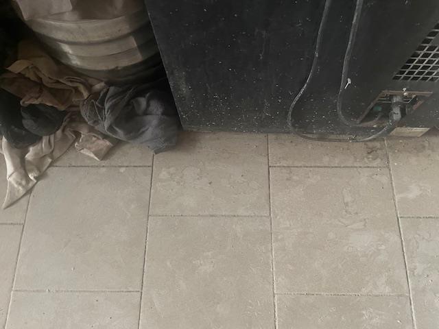 Ilustrační fotografie č. 11