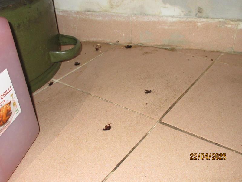 Ilustrační fotografie č. 9