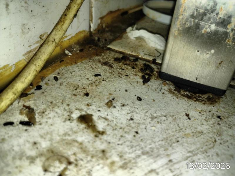 Ilustrační fotografie č. 23