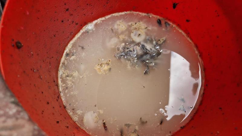 Ilustrační fotografie č. 9