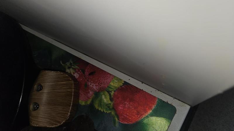 Ilustrační fotografie č. 9