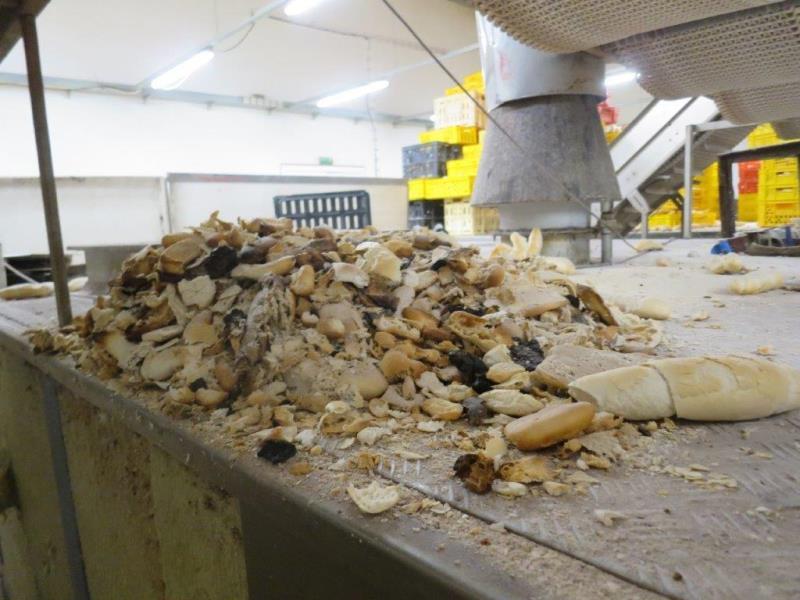 Illustrative photo no. 16