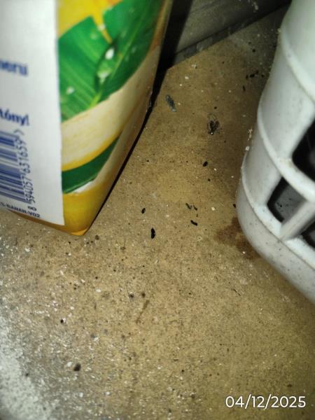 Ilustrační fotografie č. 8