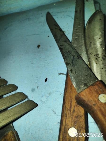 Ilustrační fotografie č. 7