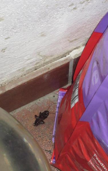 Ilustrační fotografie č. 13